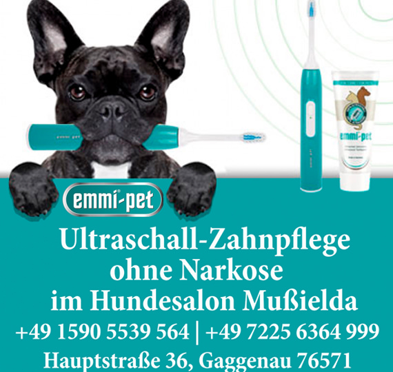 Ultraschall-Zahnreinigung Emmi-pet Hundesalon Mußielda