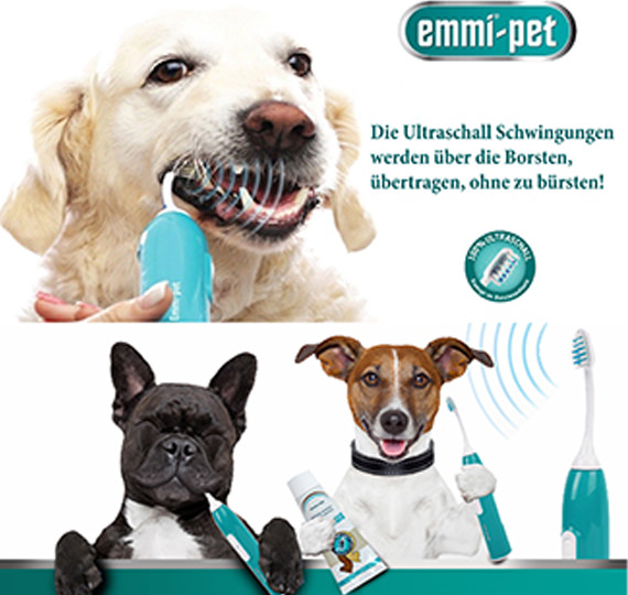 Ultraschall Zahnpflege ohne Narkose Hundesalon Mussielda Hundefriseurin