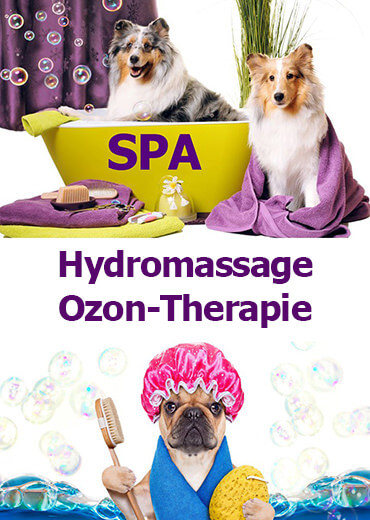 SPA-Hydromassage/Ozon-Therapie Hundesalon Mußielda Baden Baden