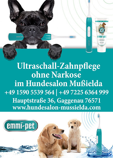 Ultraschall Zahnpflege ohne Narkose Hundesalon Mussielda Hundefriseurin